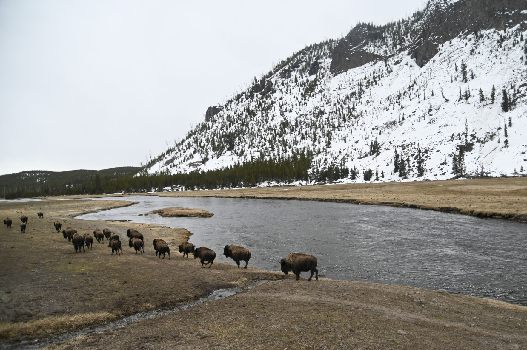 Yellowstone bike